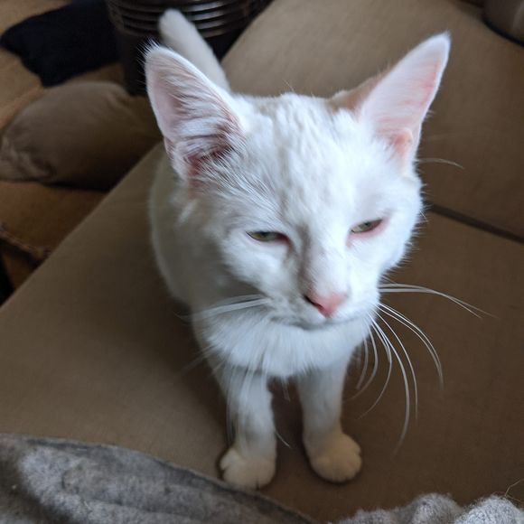 Meet your Posher, E.b. - Picture 1 of 1